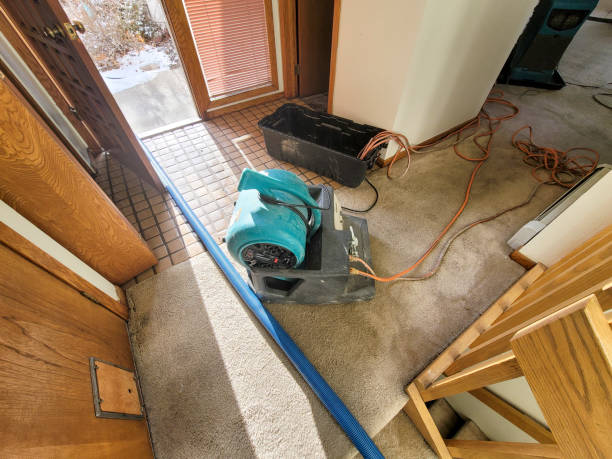 Best Water damage restoration near me  in Deer Park, TX