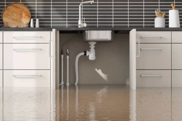 Best Basement water damage restoration  in Deer Park, TX